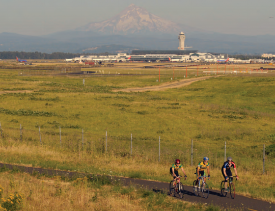 mt hood