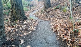 New cycling trails are already taking shape. 