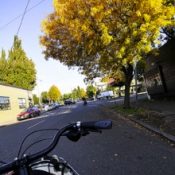 Fall leaves provide beautiful bicycling backdrop in Portland (Photos)