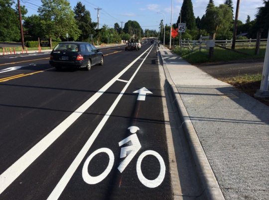 Buffered store bike lane