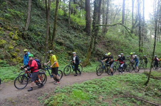 forest park mountain bike trails