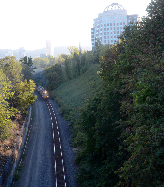 gulch trail