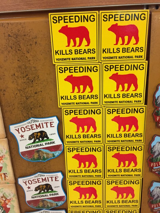 speedingkillsbears-3