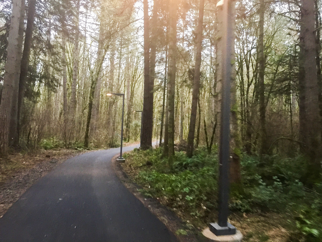 Nike's new bike path through the woods 