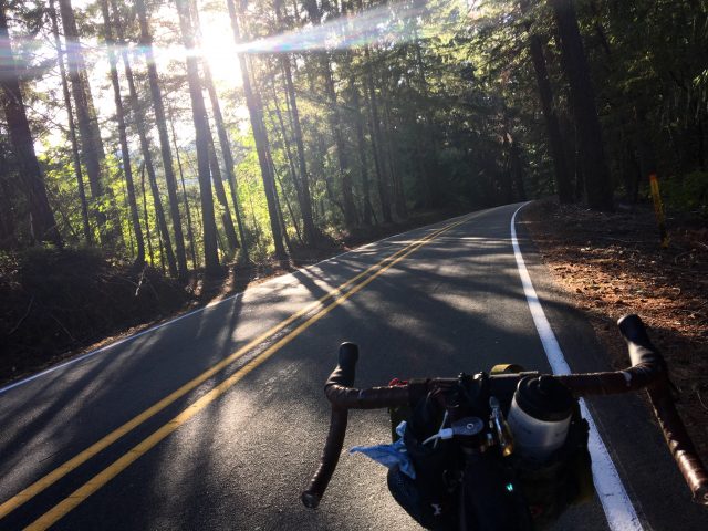 My favorite part of the climb, a magical forest with sunlight in the trees.