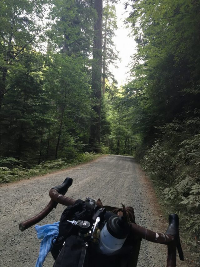 Gravel descent on Coos Bay Wagon Roads