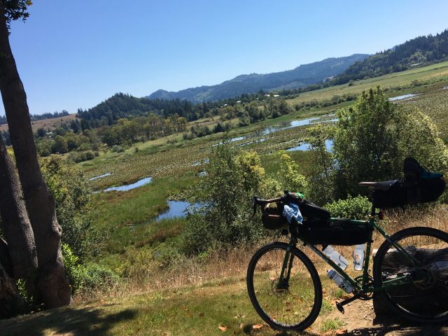 The wonderful Myrtle Trees Motel overlooks the Coquille River Registered wetlands which are home to many bird species and other wildlife.