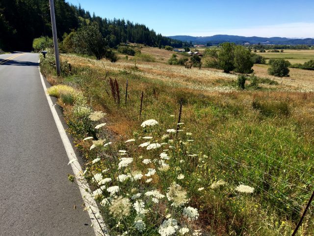 Lampa Lane west of Myrtle Point is your ticket to soak in the beautiful Coquille River Valley.