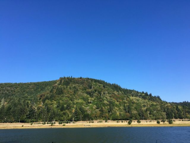 The mighty Coquille River. The Cycle Oregon route is over on that side of the river.