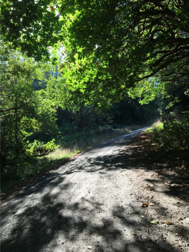 Parkersburg Road turns to gravel. It's a great little loop you could do from Bandon and a nice way to stay off the main highway.