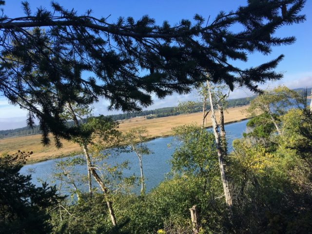 Coquille River with the Bandon Marsh National Wildlife Refuge in the background.