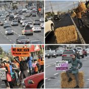 Deadly Division Street temporarily tamed with hay bales and homemade signs
