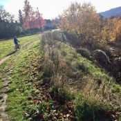Guest post: Where we stand on Portland's Off-road Cycling Master Plan