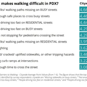 walk-survey-results