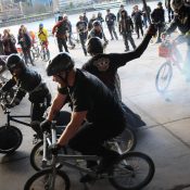 Zoobomb's Ben Hurt Chariot Wars - Photo Gallery Zoobomb's Ben Hurt Chariot Wars - Photo Gallery