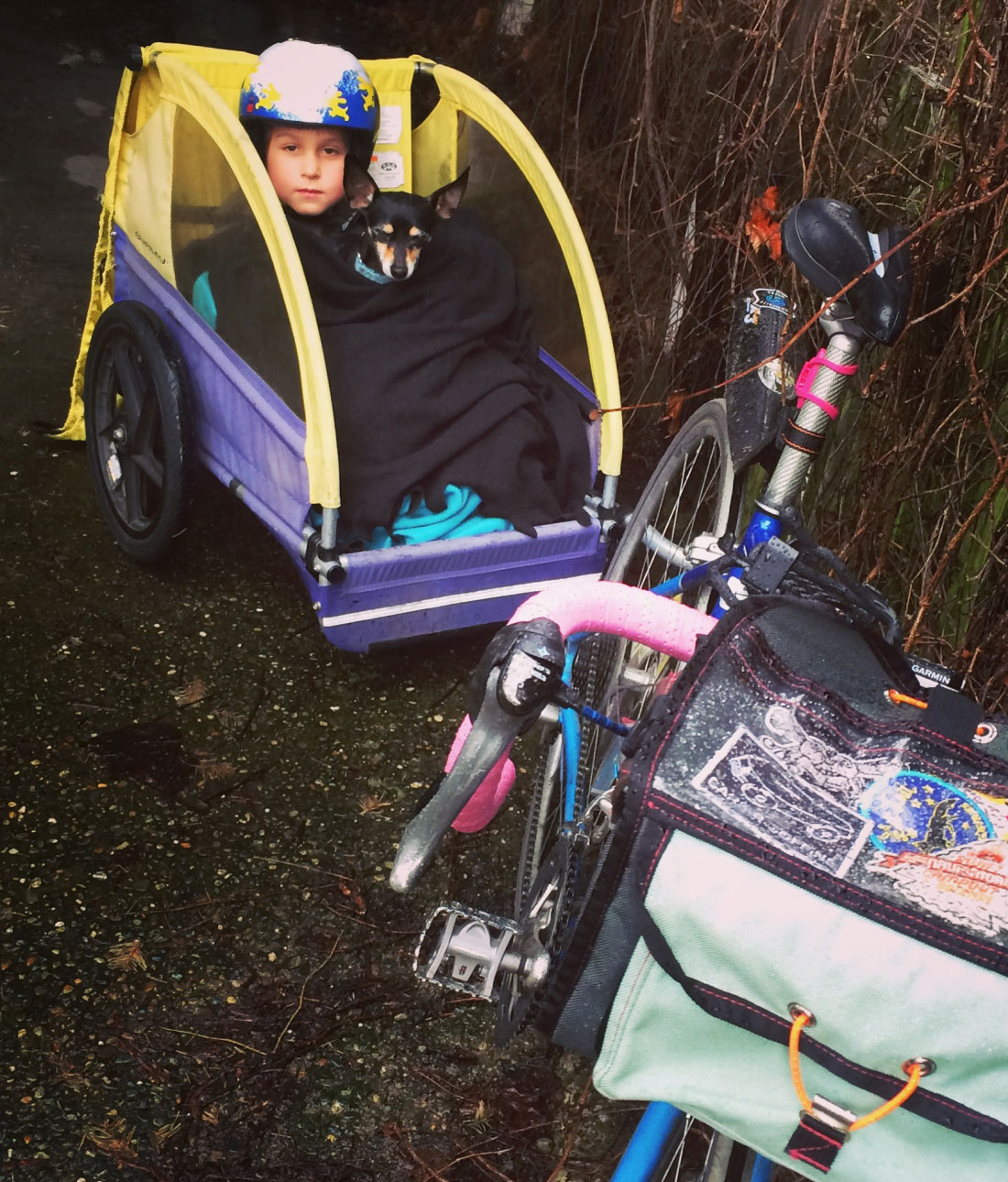 sun shade for bike trailer