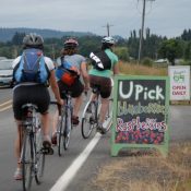 It's official: No booze on Sauvie Island beaches this summer It's official: No booze on Sauvie Island beaches this summer
