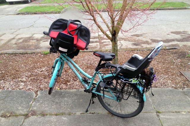 Diy dog hot sale bike carrier