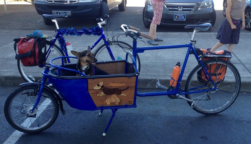 Biking with the family dog BikePortland