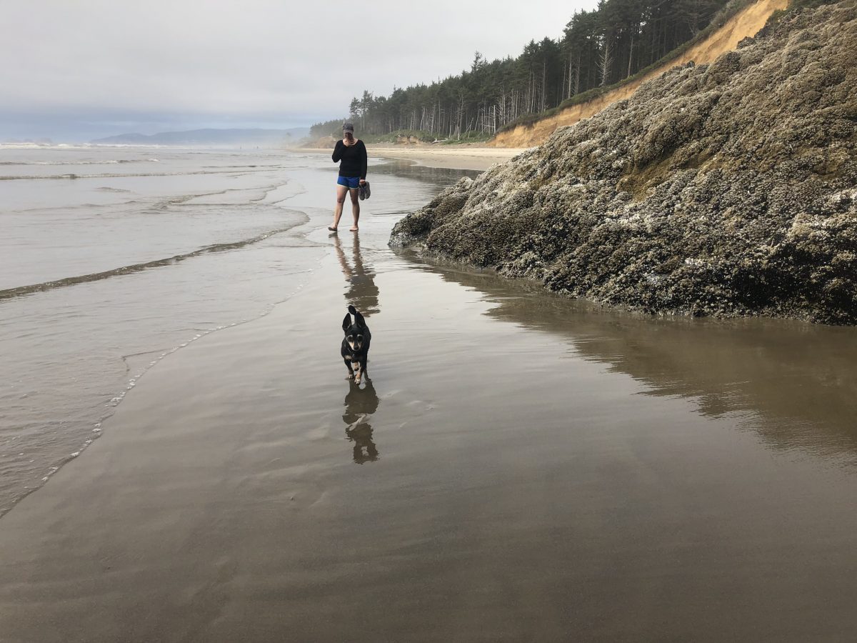 When moms escape Tackling the unpaved Trask River Road route to