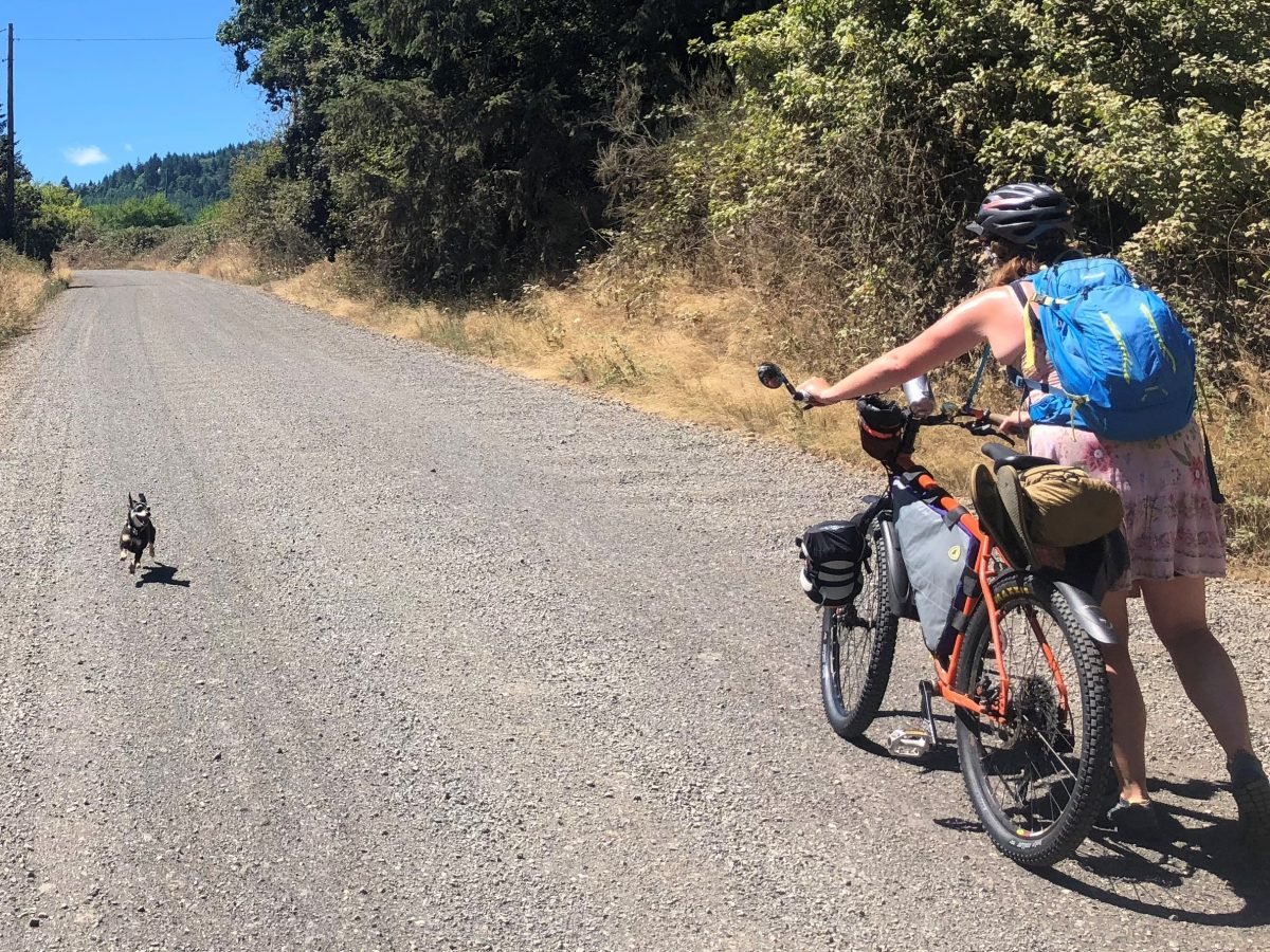 When moms escape Tackling the unpaved Trask River Road route to