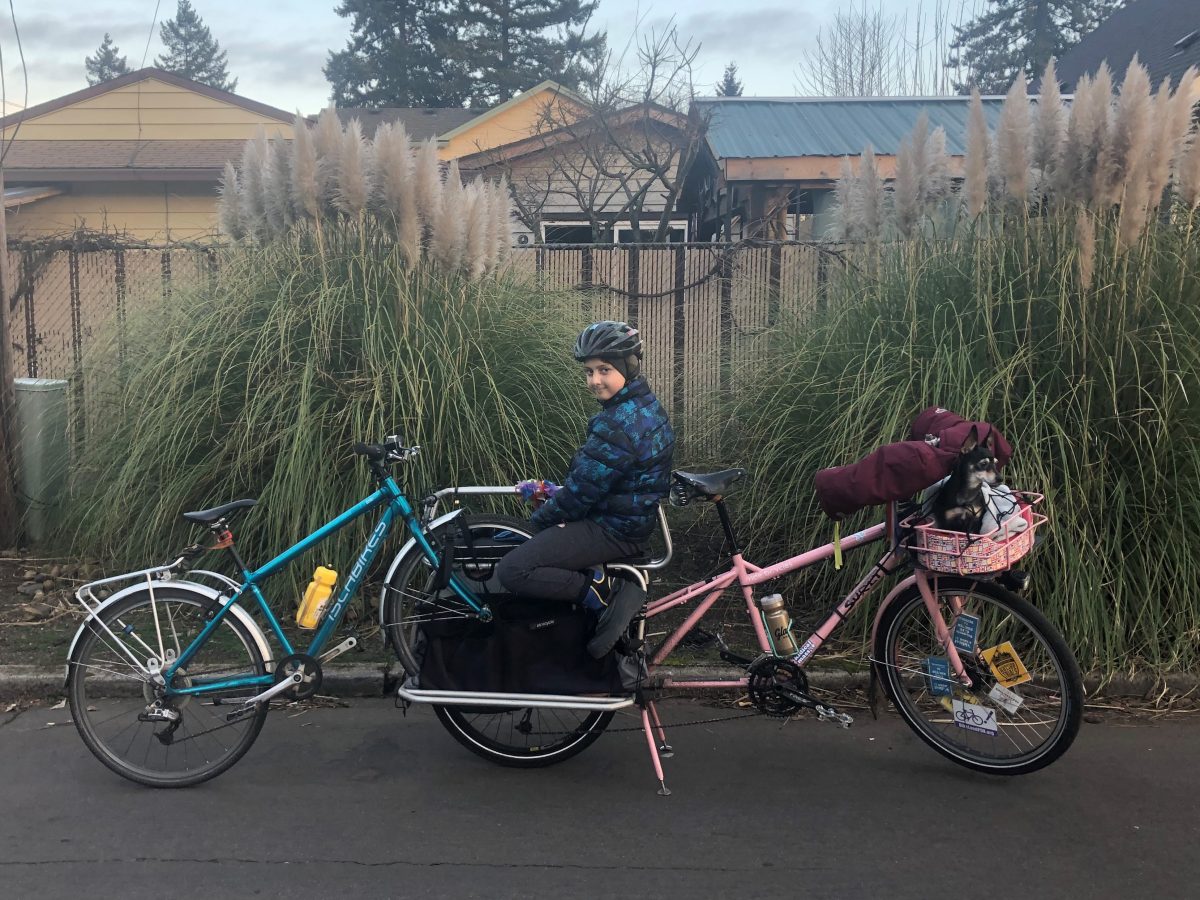 the goodies tandem bike