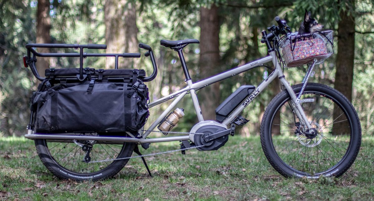 xtracycle estoker