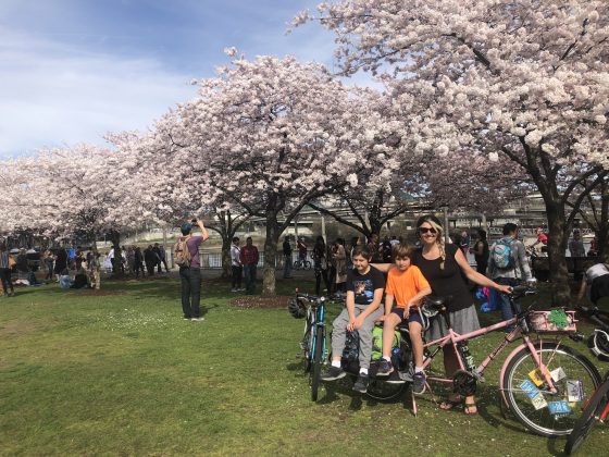 Family Biking: Here’s how to bike to the cherry trees in Waterfront Park