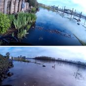 Portland Parks eyes closures as river levels rise Portland Parks eyes closures as river levels rise