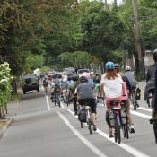 Business district welcomes carfree customers with 'Walk Williams' event