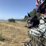 Family Biking: You can't go home again, but bicycling helps Family Biking: You can't go home again, but bicycling helps