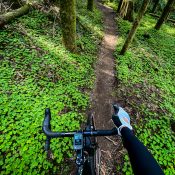 Discovering new off-road options at Rocky Point