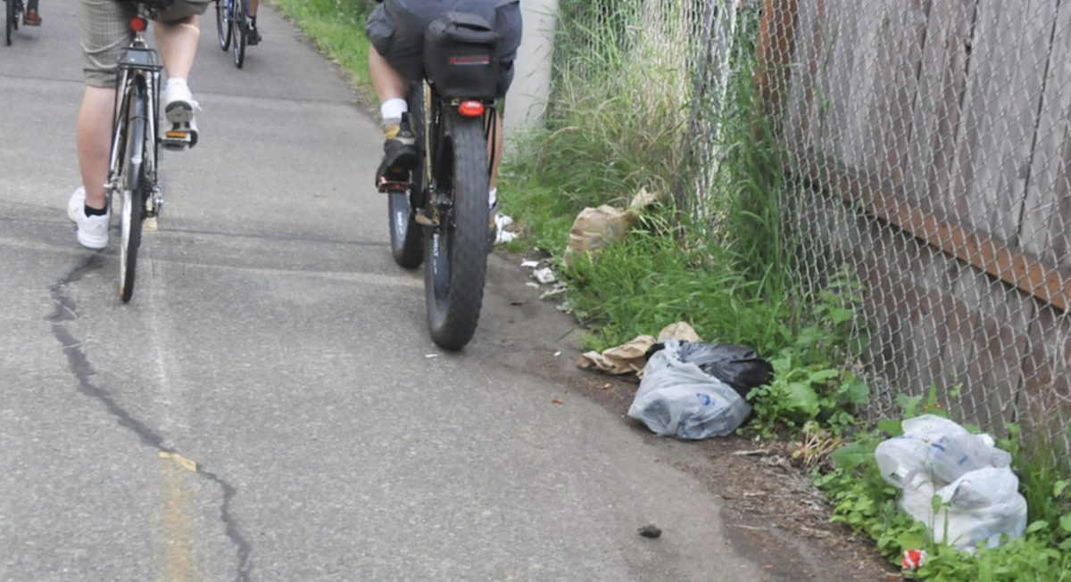 fred meyer bike tubes