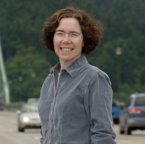 Metro candidate Mary Nolan’s record on freeway expansion projects