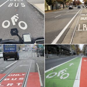 BAT, LRT, FAT, buses, bikes, freight: A guide to Portland's lanes