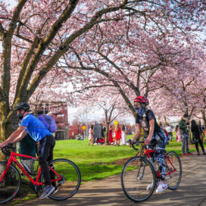 spring scenes in Portland