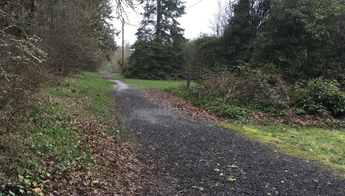 Narrow gravel path through a lush green park with trees. 