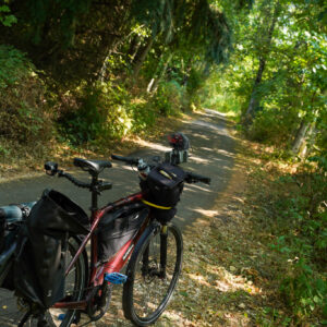 Columbia Slough path next to Alderwood