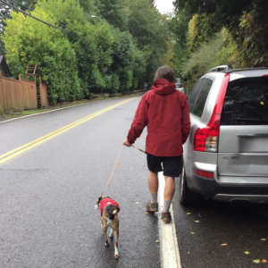 Man and dog walking Broadway