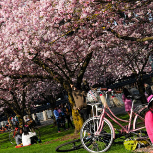spring scenes in Portland