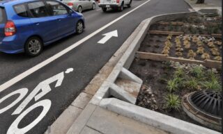 road with cars and an empty bike lane next to a planted median