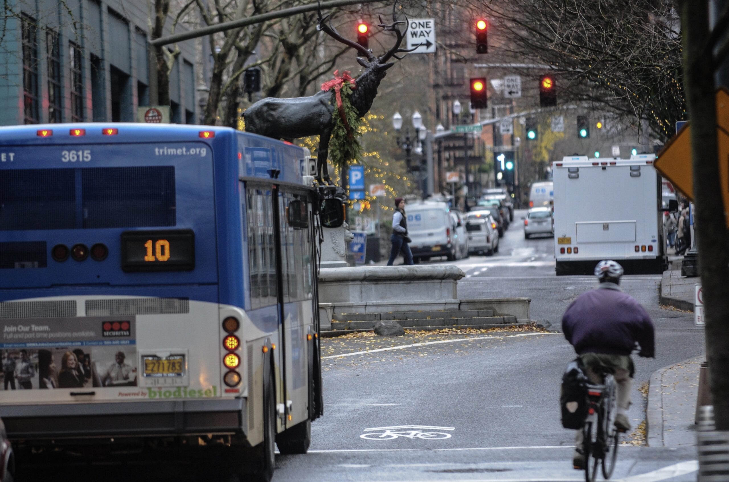 Downtown Portland street with bus, bike rider and the Thompson Elk Fountain on Main.