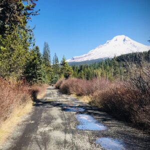 A dirt road in the forest with a snow-capped peak of Mt. Hood in the background.