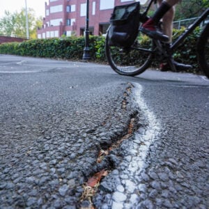 Bumps on Willamette River Greeway path-5