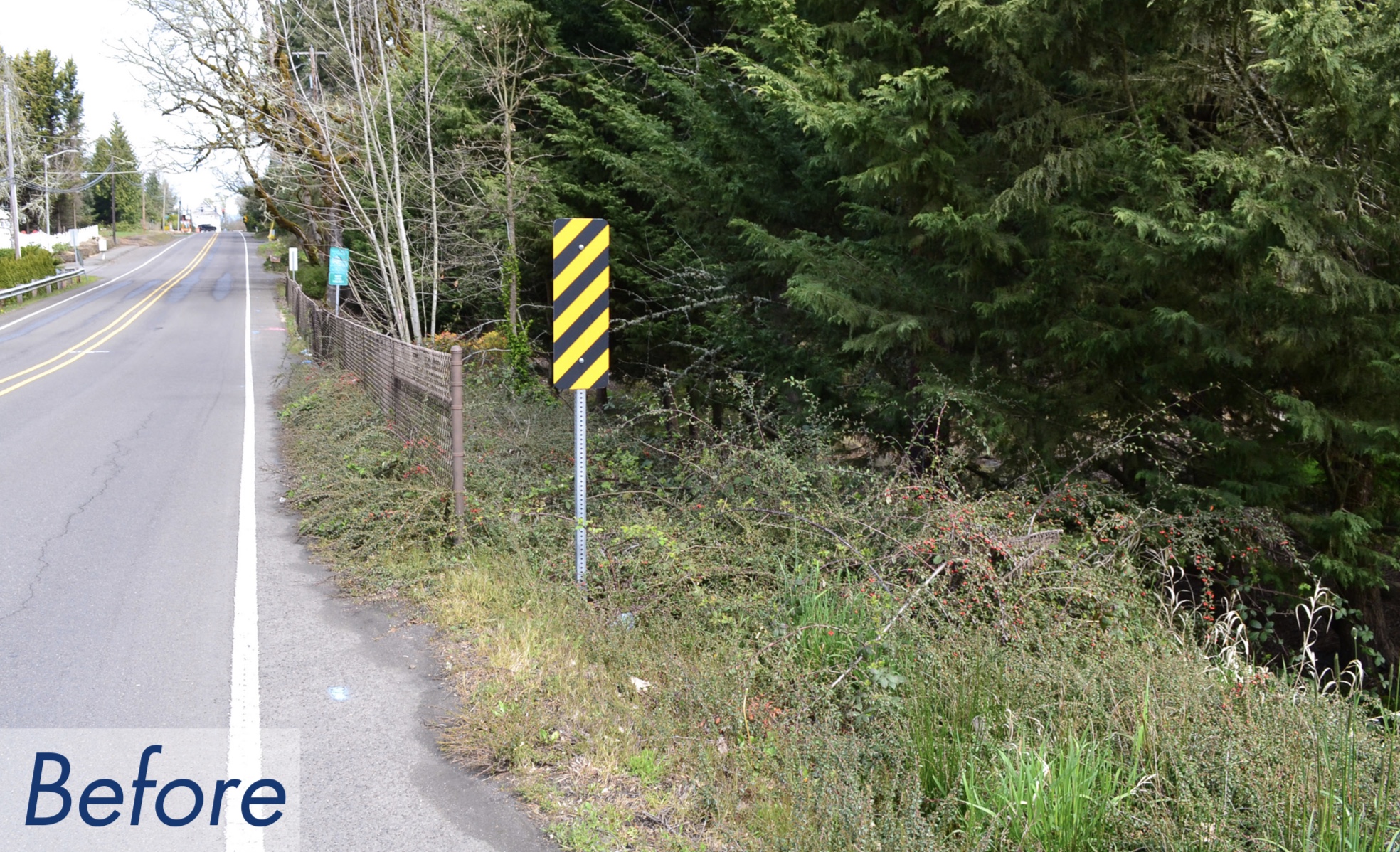 New cycle track in Hillsboro a game-changer for our grateful family - BikePortland