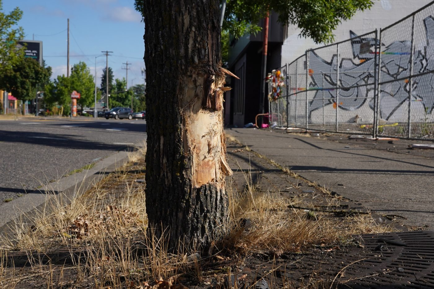 NE-Martin-Luther-King-Jr.-Deadly-Crash-Scene-3-1400x933 One dead and four hospitalized after driver loses control in northeast Portland – BikePortland