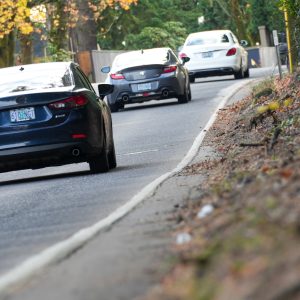 Highway 43 fatal crash site visit-4