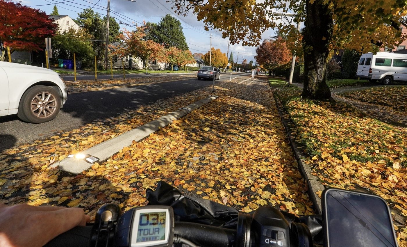 levaes-1400x849 City asks for patience as bike lanes fill with leaves – BikePortland