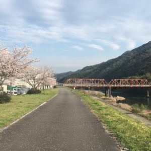 Tonight's bike touring slideshows feature Japan cherry blossoms, human powered vehicles, and more image